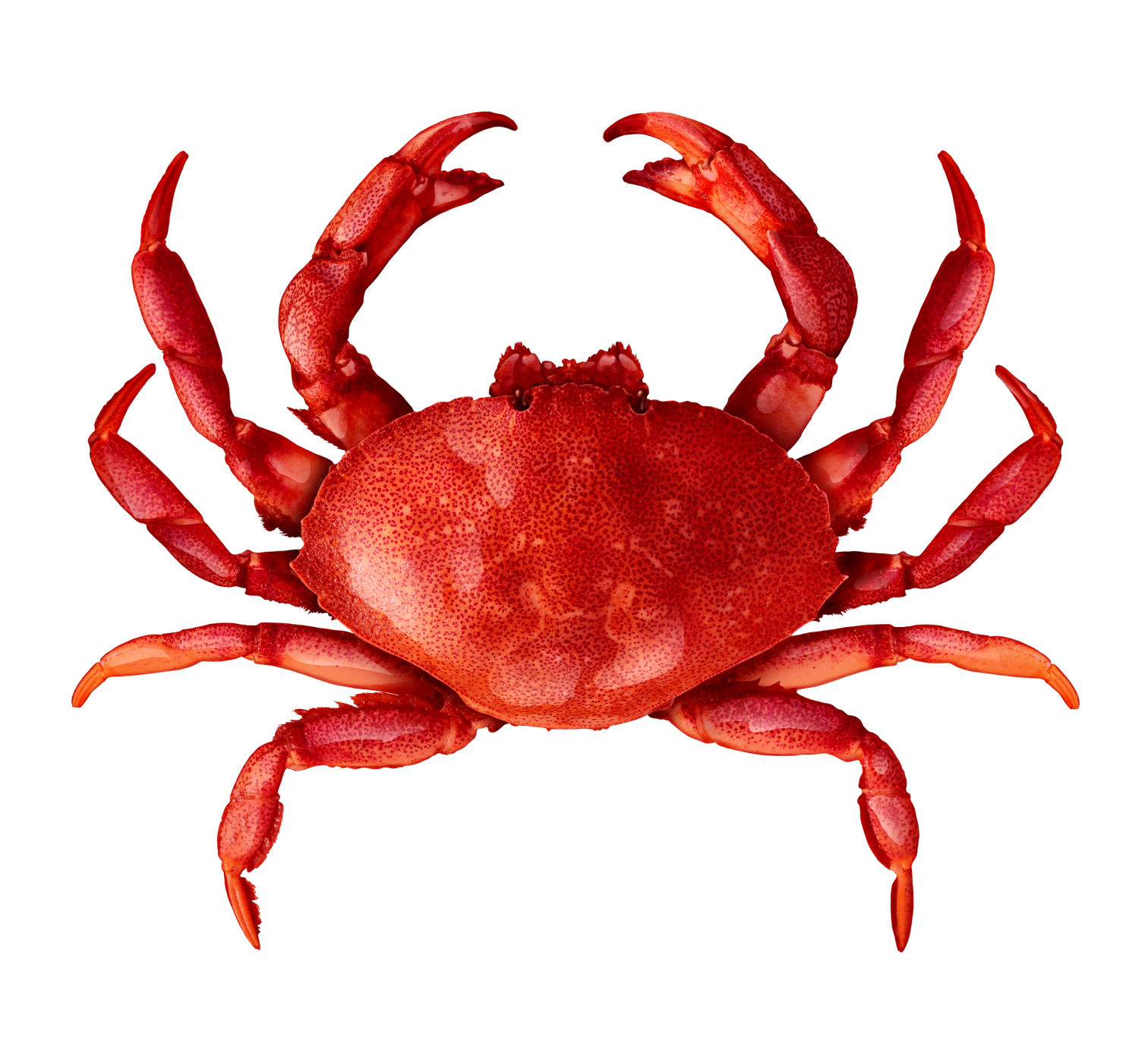 Crabby